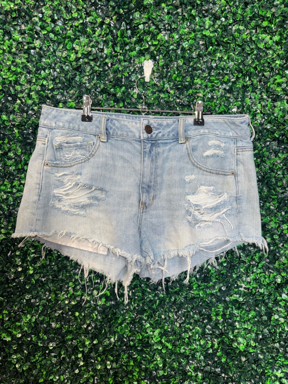 American Eagle Outfitters Light Blue Distressed Jean Shorts